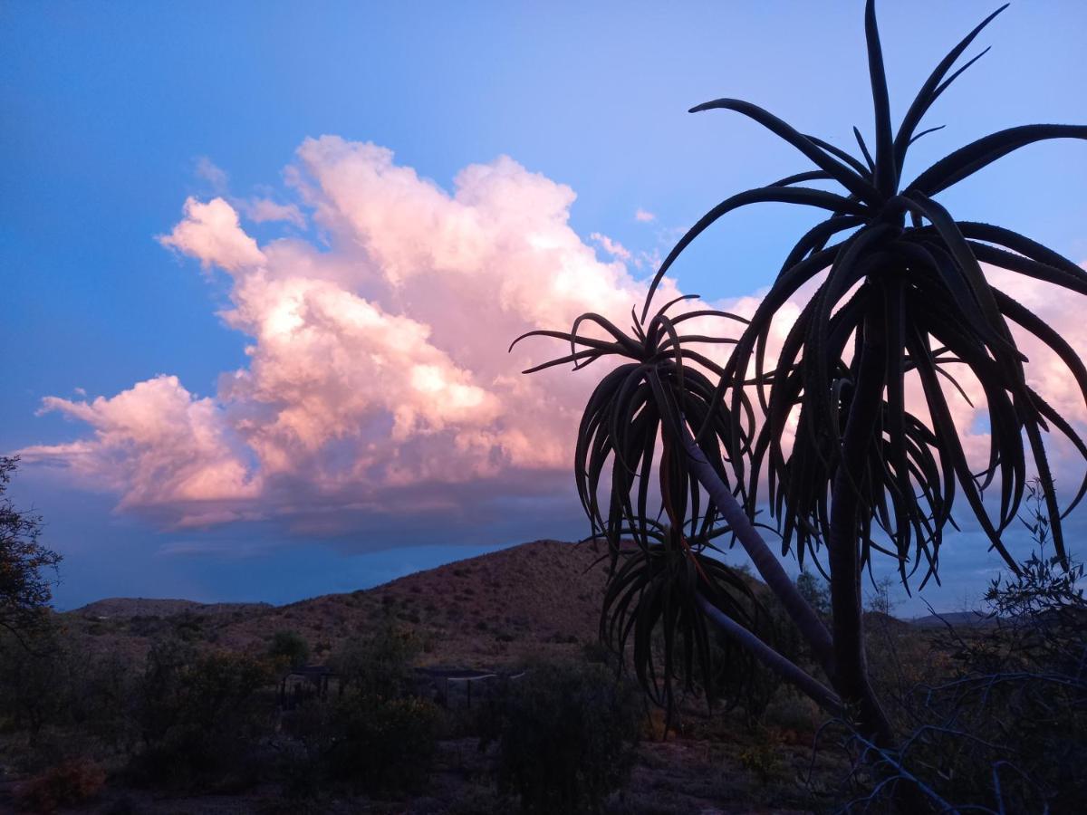 Wolverfontein Karoo Cottages لاديسميث المظهر الخارجي الصورة