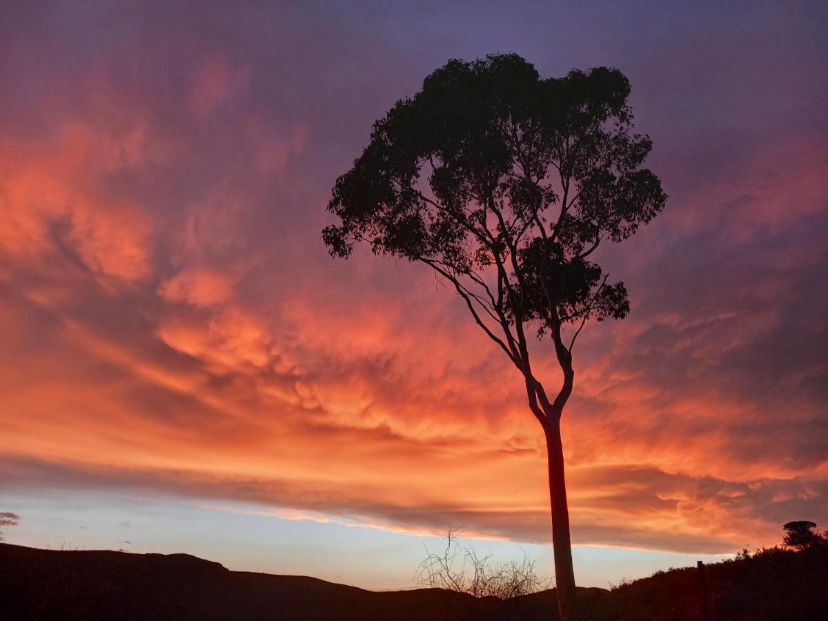Wolverfontein Karoo Cottages لاديسميث المظهر الخارجي الصورة