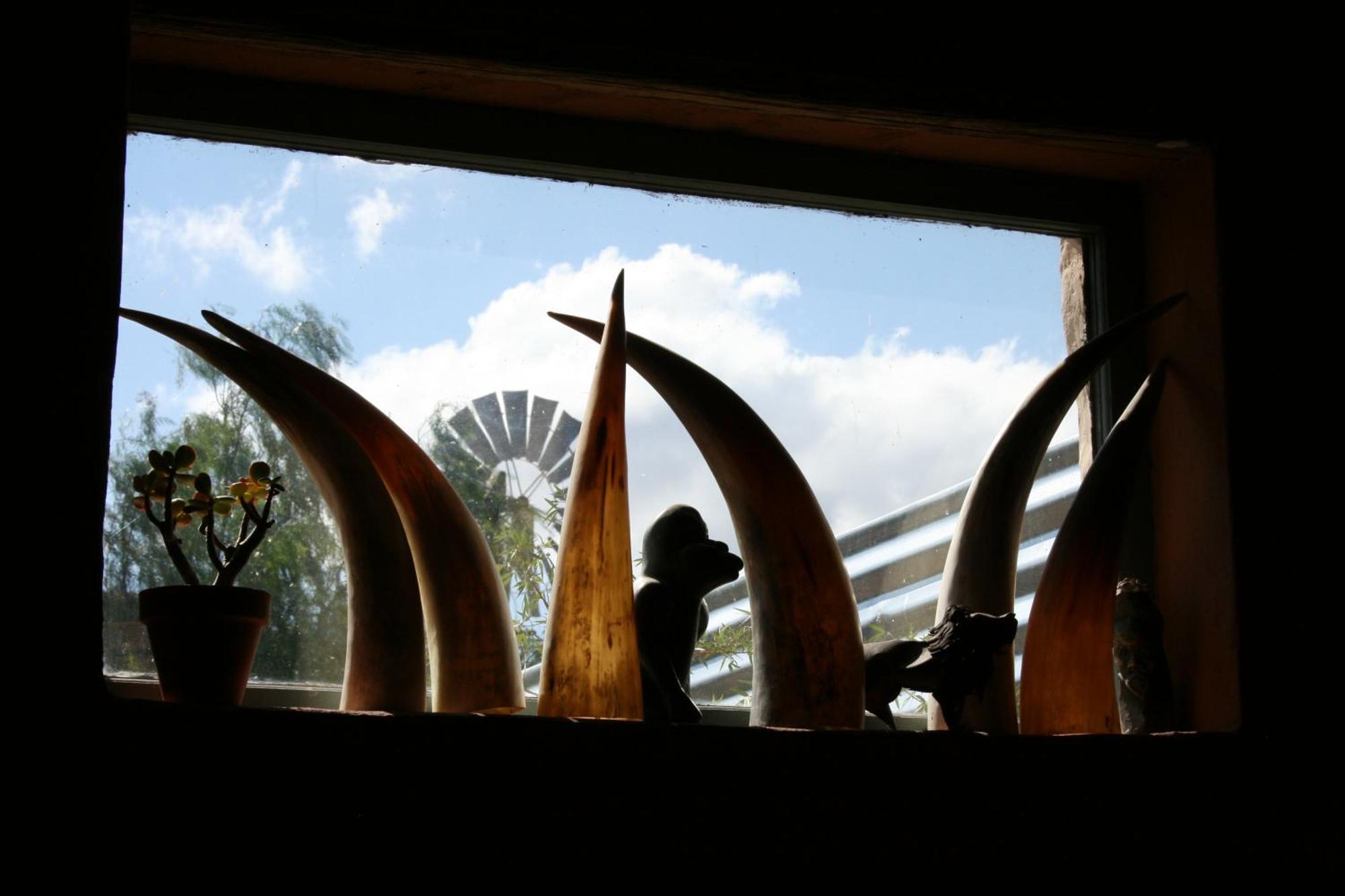 Wolverfontein Karoo Cottages لاديسميث المظهر الخارجي الصورة