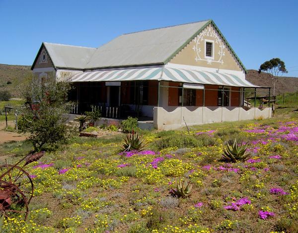 Wolverfontein Karoo Cottages لاديسميث المظهر الخارجي الصورة