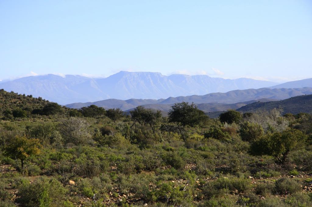Wolverfontein Karoo Cottages لاديسميث المظهر الخارجي الصورة