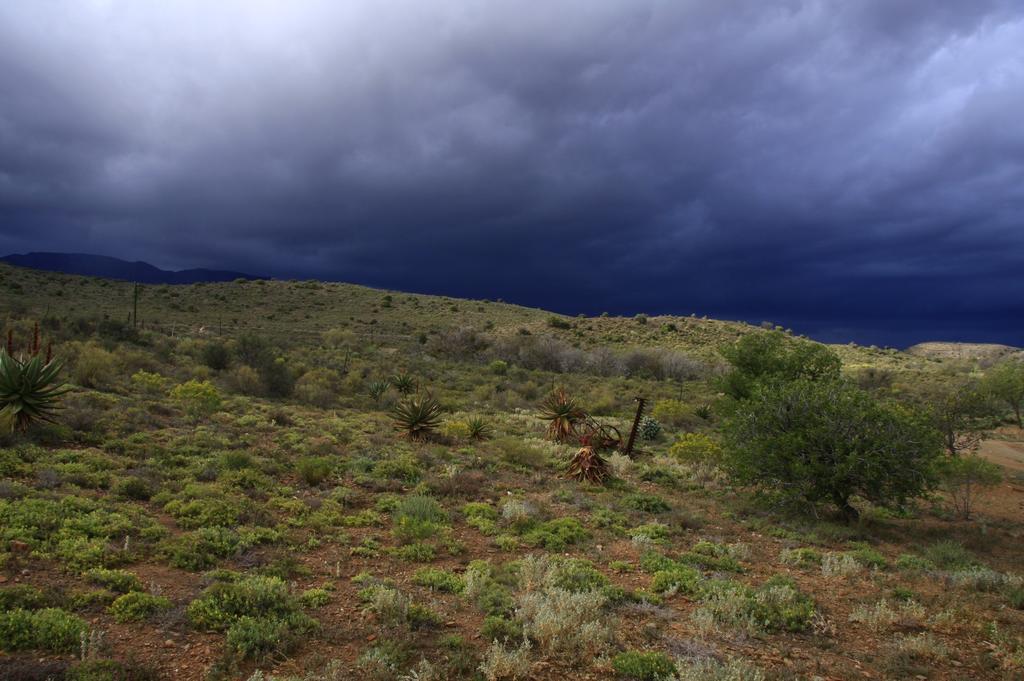 Wolverfontein Karoo Cottages لاديسميث المظهر الخارجي الصورة
