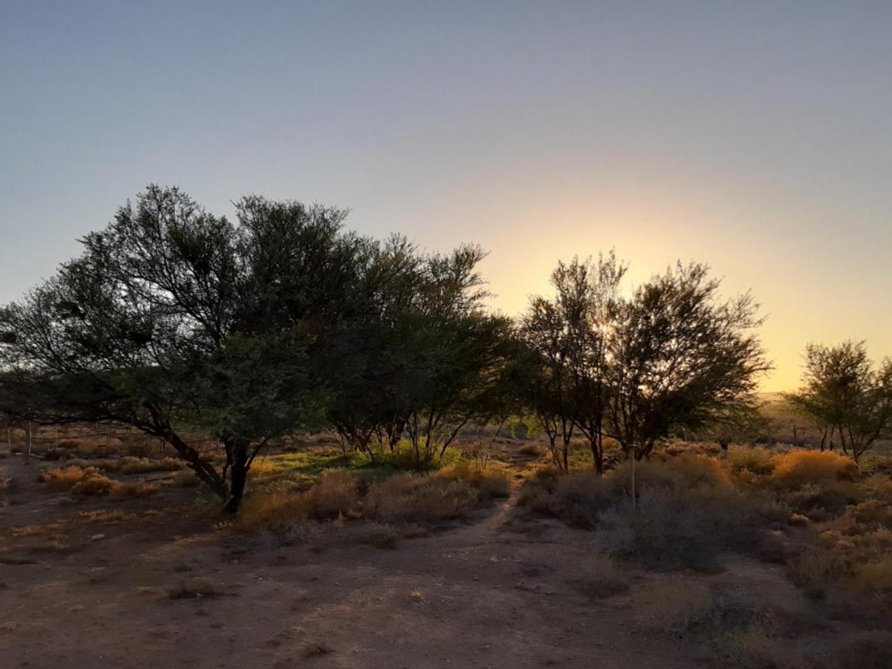 Wolverfontein Karoo Cottages لاديسميث المظهر الخارجي الصورة